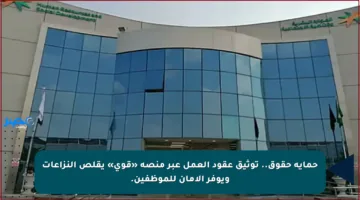 حماية حقوق.. توثيق عقود العمل عبر منصة «قوى» يقلص النزاعات ويوفر الأمان للموظفين.